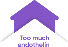 Too much endothelin